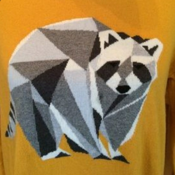 Geometric Racoon Sweater - Picture 2 of 3